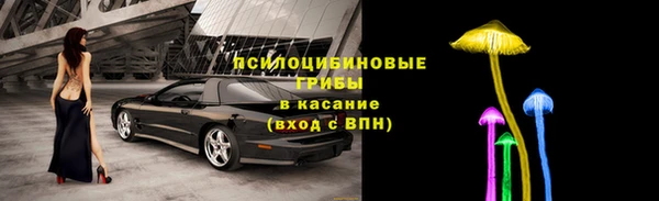 спиды Белоозёрский
