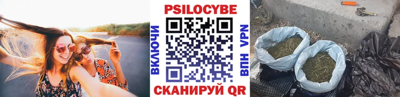 хочу Энем Псилоцибиновые грибы GOLDEN TEACHER